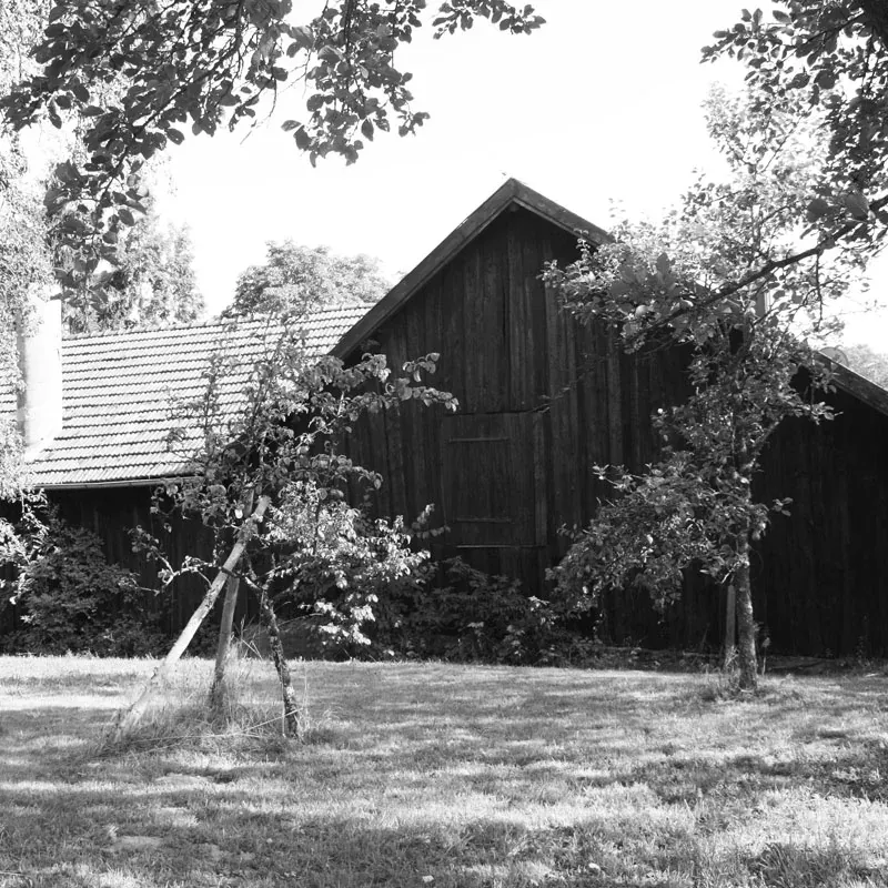Alte Holzfassade der Scheune zwischen Bäumen